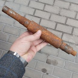 �����, ������, 41 ���