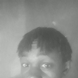 Dnis, �����������, 52 ����