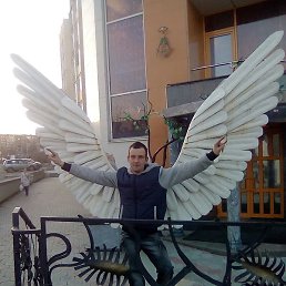 ������, ������������, 46 ���