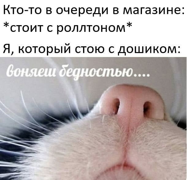    - 22  2023  22:11
