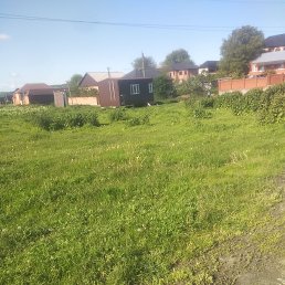 ���� Husniddin, ������, 26 ��� - ��������� 17 ��� 2023