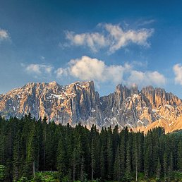 ������, �����������, 56 ���