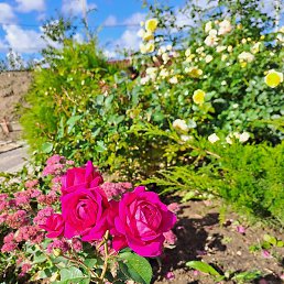 ���, �����-���������, 30 ���