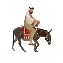 ����� ����� ����, ������, 35 ���