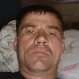 ����, �������, 43 ����