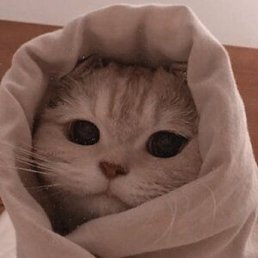 ������, ������, 25 ���