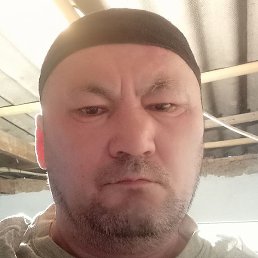 ��������, ������, 48 ���