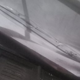 ���� Alem, �����-�����, 37 ��� - ��������� 4 ������� 2023