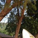 ���� Viktor, ������, 56 ��� - ��������� 25 ������� 2023