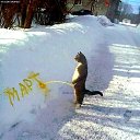 ���� ������, ������, 56 ��� - ��������� 12 ����� 2023