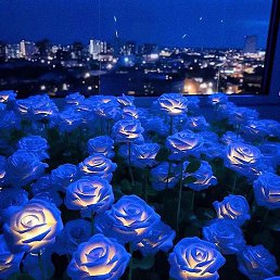 Roma, �����-���������, 25 ���