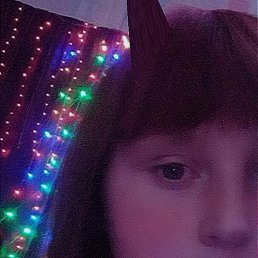 ���������, 23 ����, �����������