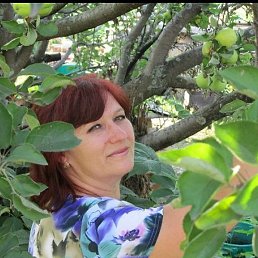 ������, �����, 61 ���