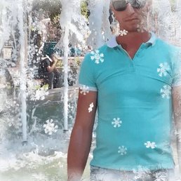 ���� �������, ������-��-����, 33 ���� - ��������� 8 ����� 2023