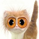 ���� ����, ������, 55 ��� - ��������� 15 �������� 2023 � ������ ���� ����������