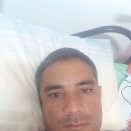 David, 38, 