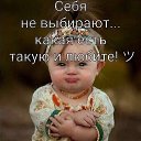 ���� �������, ��������, 54 ���� - ��������� 18 ������� 2023 � ������ ���� ����������