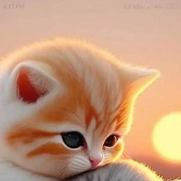 ������, ������, 30 ���