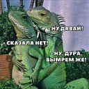 ���� ���������, ������, 64 ���� - ��������� 2 ���� 2023 � ������ ������ ��������