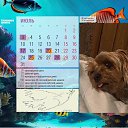 ���� �����, ������, 48 ��� - ��������� 25 ���� 2023