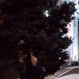 ���� ���������, �����, 64 ���� - ��������� 21 ���� 2023