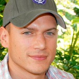 ���������, �����-���������, 41 ���