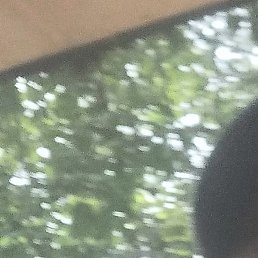 �����, ���������, 40 ���