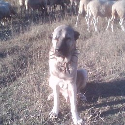 ���� �����, �����, 55 ��� - ��������� 11 ��� 2023