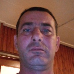 ������, �������, 50 ���