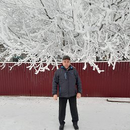 ���� �����, ������, 50 ��� - ��������� 4 ������� 2023