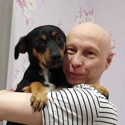 ����, ���������, 51 ���