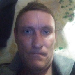 �����, ������, 37 ���