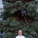 ���� �������, ������, 49 ��� - ��������� 21 ������� 2023 � ������ ���� ����������