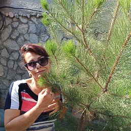 ��������, ������, 53 ����