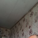 ���� ����, ������������, 56 ��� - ��������� 21 ������ 2023 � ������ ���� ����������