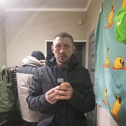 �����, ������, 41 ���