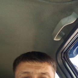 ���� �����, �����, 50 ��� - ��������� 23 �������� 2023