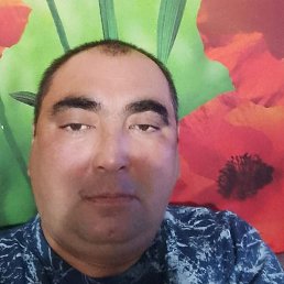 ������, ������, 43 ����