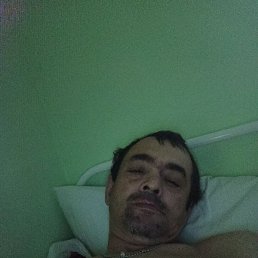 �������, ������ ��������, 49 ���