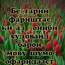���� �����, ������, 40 ��� - ��������� 24 ��� 2023 � ������ ���� ����������
