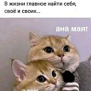 ���� ��������, ���������, 49 ��� - ��������� 13 �������� 2023