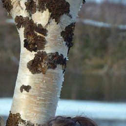 ���� ������, ��������, 48 ��� - ��������� 26 ��� 2023