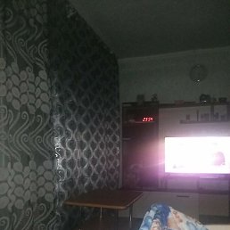 �����, ���������, 49 ���