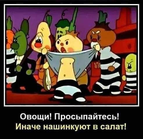 ����� - 5 ������� 2023 � 18:41