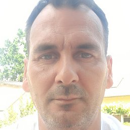 Miki, ������, 45 ���