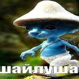 Timug, ���, 37 ���