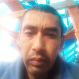 �������, ������, 36 ���