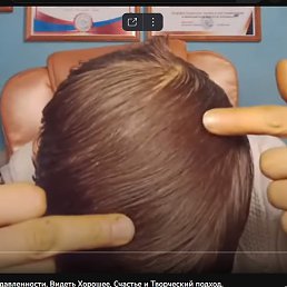 ��������, �����������, 37 ���