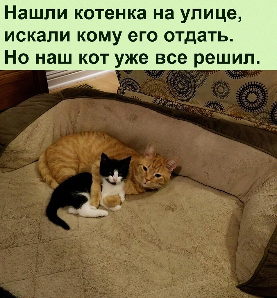 : o o o.   o  e 