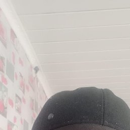 ������, ������, 56 ���